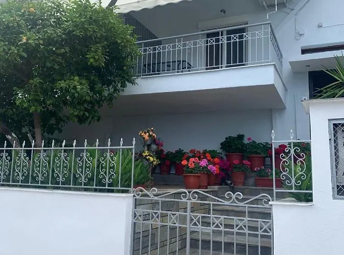 Pensión Anna House 4 Sarti